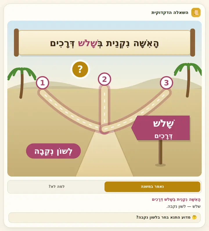 המחשה מהסוגיה