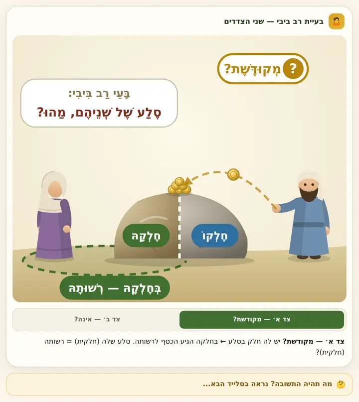בעיית רב ביבי — שני הצדדים