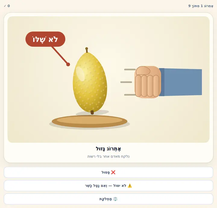 המחשה מהסוגיה